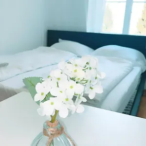 https://cozy-room-in-shared-apt.vienna-besthotels.com